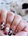 /album/galeria-de-fotos%3a-terapias-servi%c3%a7os-unhas-gel-e-gelinho-manicure-e-pedicure/ffgffg-jpg/